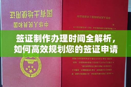轮台签证制作办理时间全解析，如何高效规划您的签证申请流程