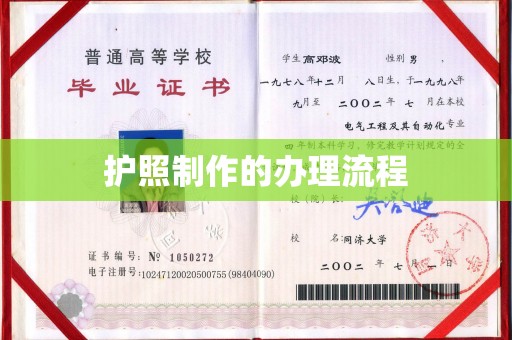 轮台护照制作的办理流程