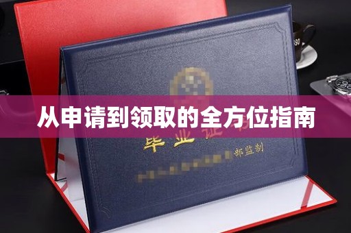 轮台从申请到领取的全方位指南