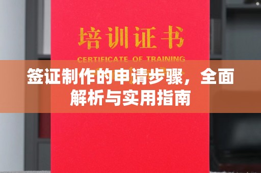 轮台签证制作的申请步骤，全面解析与实用指南