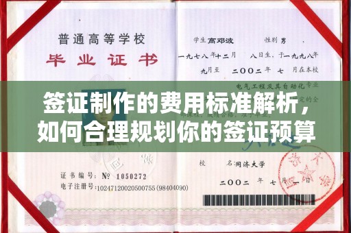轮台签证制作的费用标准解析，如何合理规划你的签证预算