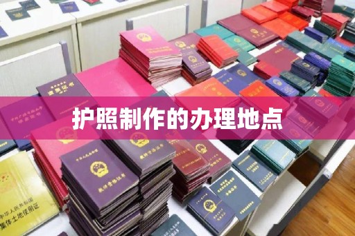轮台护照制作的办理地点