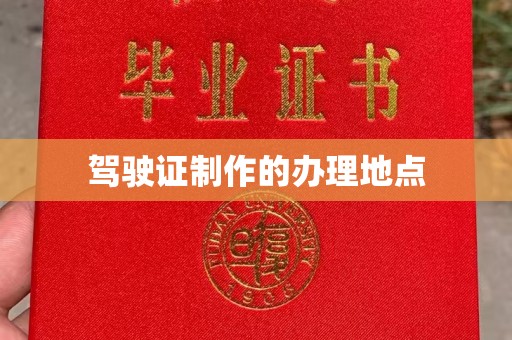 轮台驾驶证制作的办理地点