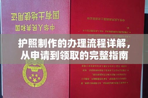 轮台护照制作的办理流程详解，从申请到领取的完整指南