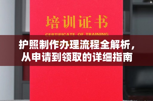 轮台护照制作办理流程全解析，从申请到领取的详细指南