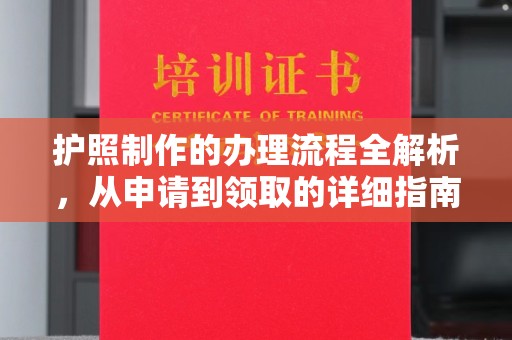 轮台护照制作的办理流程全解析，从申请到领取的详细指南