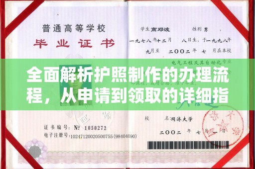 轮台全面解析护照制作的办理流程，从申请到领取的详细指南