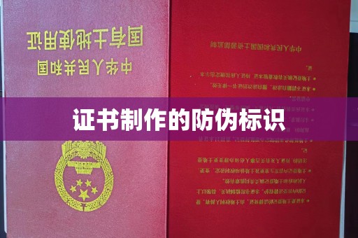 轮台证书制作的防伪标识