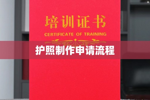轮台护照制作申请流程