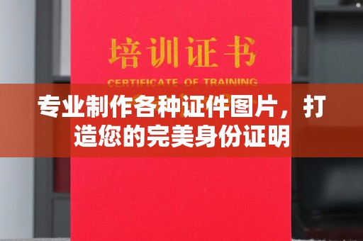 轮台专业制作各种证件图片，打造您的完美身份证明