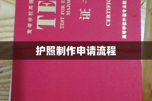 轮台护照制作申请流程