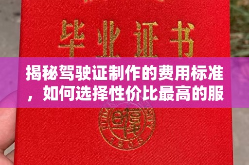 轮台揭秘驾驶证制作的费用标准，如何选择性价比最高的服务？