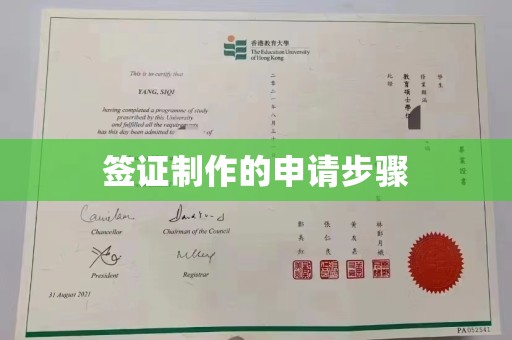 轮台签证制作的申请步骤