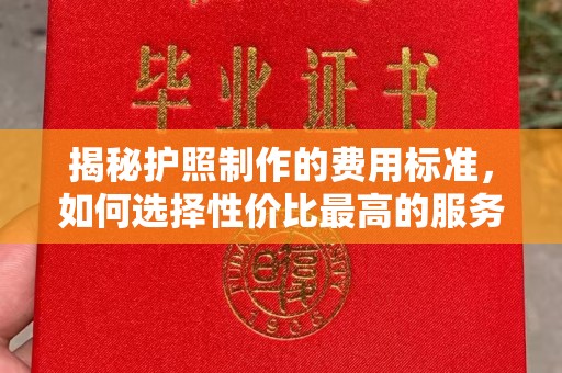 轮台揭秘护照制作的费用标准，如何选择性价比最高的服务？