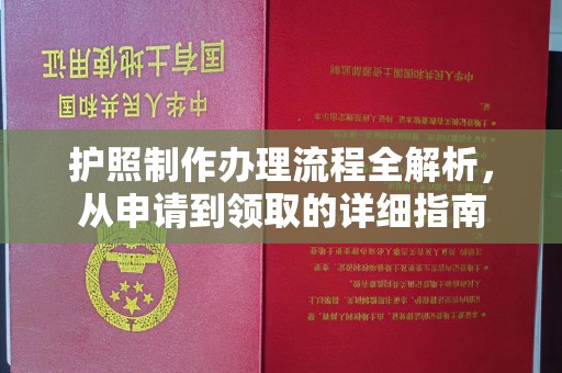轮台护照制作办理流程全解析，从申请到领取的详细指南