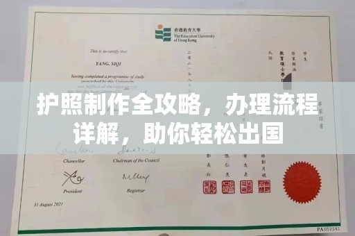 轮台护照制作全攻略，办理流程详解，助你轻松出国